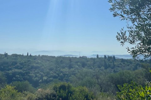 2569m² Land à Corfu, Greece No. 55306 10