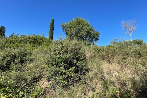 2569m² Land en Corfu, Greece No. 55306 9