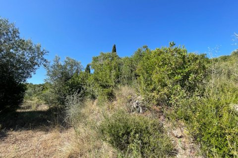 2569m² Land en Corfu, Greece No. 55306 17