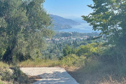 2569m² Land in Corfu, Greece No. 55306 7