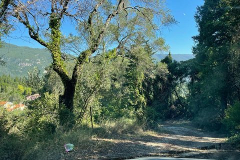 2569m² Land in Corfu, Greece No. 55306 24