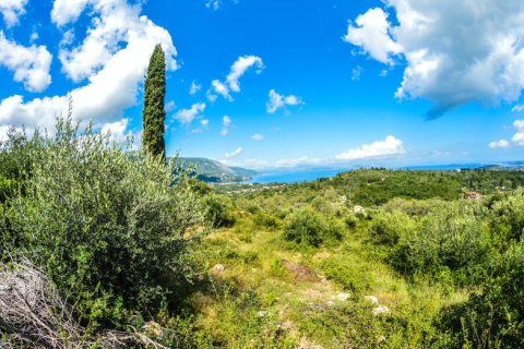 2569m² Land in Corfu, Greece No. 55306 3