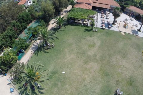 33802m² Land in Chalkidiki, Greece No. 59195 4