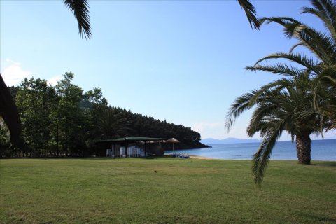 33802m² Land in Chalkidiki, Greece No. 59195 8