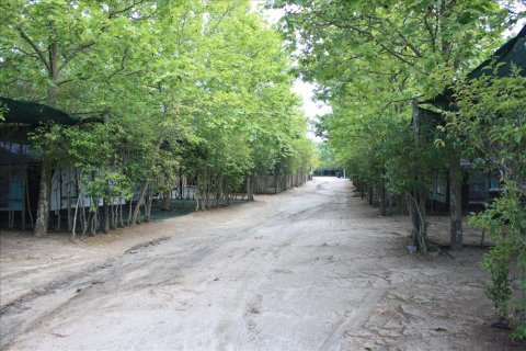 33802m² Land in Chalkidiki, Greece No. 59195 7