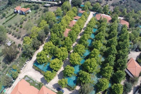 33802m² Land in Chalkidiki, Greece No. 59195 5