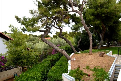 5 bedrooms Villa in Rafina, Greece No. 59196 14