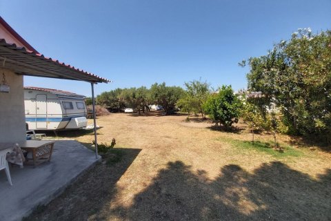 1 chambre House à Chalkidiki, Greece No. 56234 20