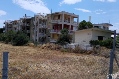 1204m² Business in Marathon, Greece No. 56285 1