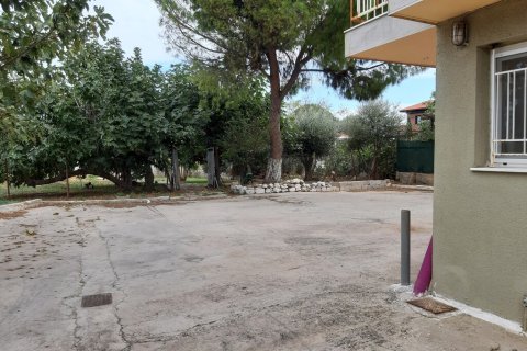 1204m² Negocio en Marathon, Greece No. 56285 3