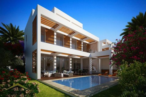 3 bedrooms Villa in Paphos, Cyprus No. 39142 14