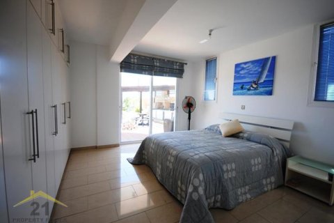 4 bedrooms Villa in Paphos, Cyprus No. 39166 14