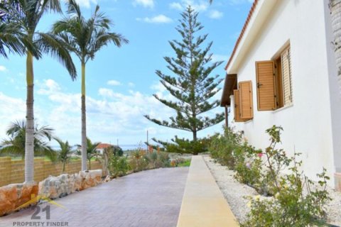 3 bedrooms Villa in Paphos, Cyprus No. 39164 12