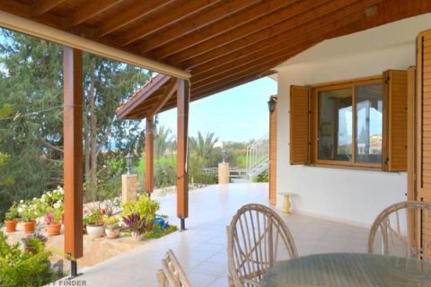 3 bedrooms Villa in Paphos, Cyprus No. 39164 11