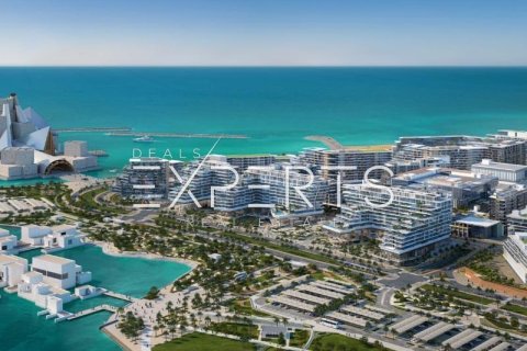 46.8m² Apartment on the Saadiyat Cultural District, UAE No. 10023 12