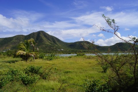 2787.09m² Land à Saint George Basseterre, Saint Kitts and Nevis No. 61510 7