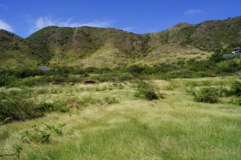 2787.09m² Land in Saint George Basseterre, Saint Kitts and Nevis No. 61510 8