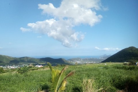 4451.54m² Land en Saint Peter's, Saint Kitts and Nevis No. 61505 1