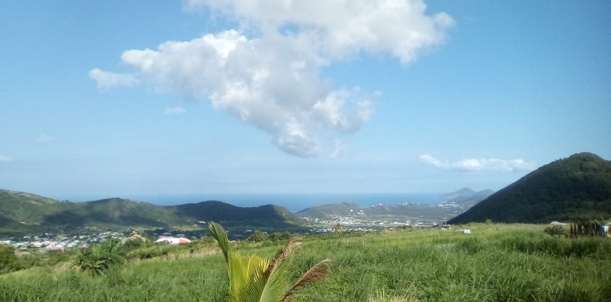 4451.54m² Land in Saint Peter's, Saint Kitts and Nevis No. 61505