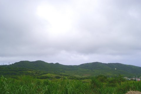 4451.54m² Land in Saint Peter's, Saint Kitts and Nevis No. 61505 2