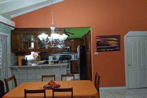 4 bedrooms Villa in Basseterre, Saint Kitts and Nevis No. 61509 5