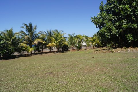 603.87m² Villa à Ottley's, Saint Kitts and Nevis No. 61507 15