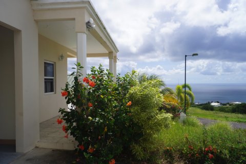 3 bedrooms Villa in Basseterre, Saint Kitts and Nevis No. 61511 1