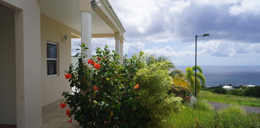 3 bedrooms Villa in Basseterre, Saint Kitts and Nevis No. 61511