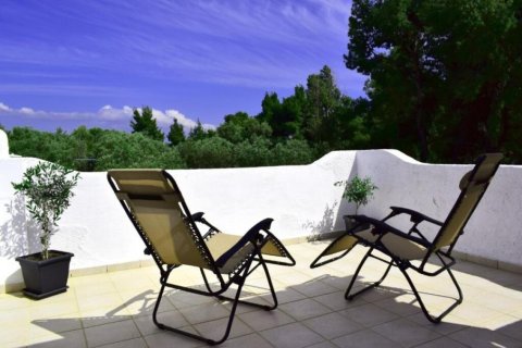 6 bedrooms Hotel in Chalkidiki, Greece No. 47531 11