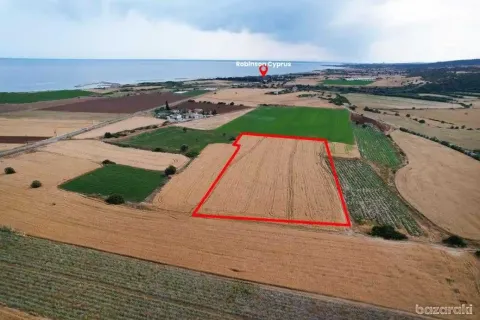 14716m² Land à Alaminos, Cyprus No. 35361 2