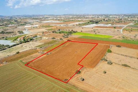 14716m² Land en Alaminos, Cyprus No. 35361 3