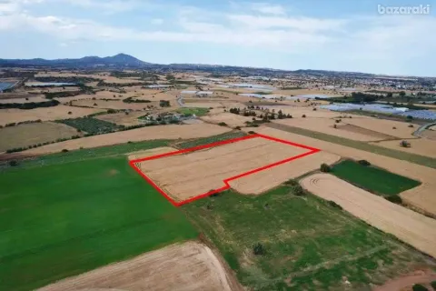 14716m² Land in Alaminos, Cyprus No. 35361 3