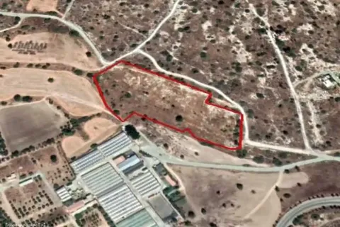 17392m² Land à Kalavasos, Cyprus No. 35760 1