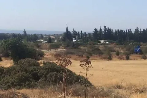 17392m² Land à Kalavasos, Cyprus No. 35760 2