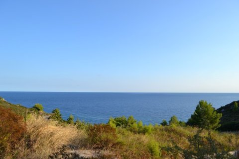 6616m² Land en Chalkidiki, Greece No. 58545 1