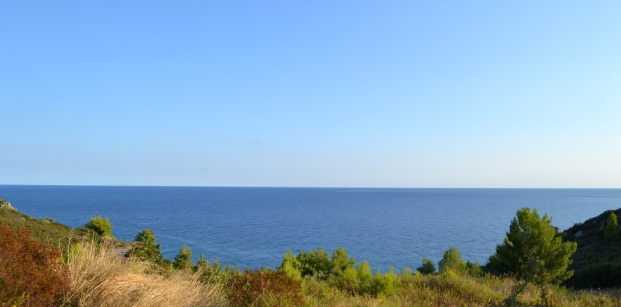 6616m² Land en Chalkidiki, Greece No. 58545