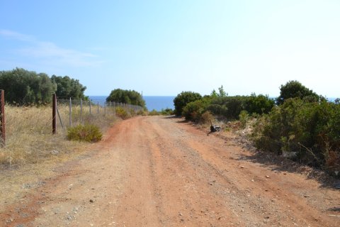 6616m² Land en Chalkidiki, Greece No. 58545 5