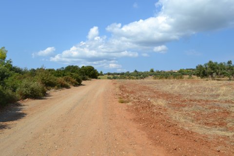 6616m² Land en Chalkidiki, Greece No. 58545 3