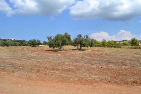 6616m² Land in Chalkidiki, Greece No. 58545 4