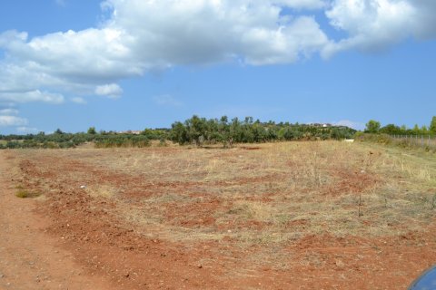 6616m² Land in Chalkidiki, Greece No. 58545 2