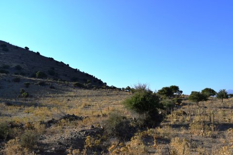 60000m² Land in Rethymno, Greece No. 58546 3