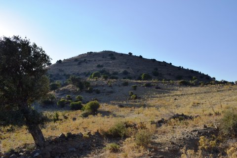 60000m² Land in Rethymno, Greece No. 58546 4