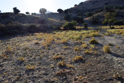 60000m² Land in Rethymno, Greece No. 58546 6