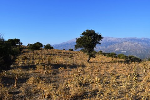 60000m² Land in Rethymno, Greece No. 58546 2