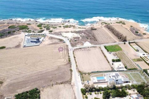 4255m² Land in Pegeia, Cyprus No. 64511 6