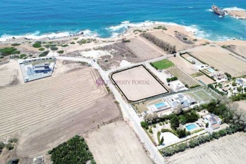 4255m² Land in Pegeia, Cyprus No. 64511 10