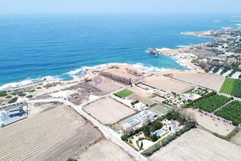 4255m² Land in Pegeia, Cyprus No. 64511 5