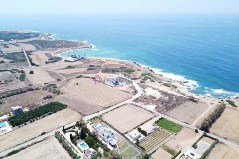 4255m² Land in Pegeia, Cyprus No. 64511 2