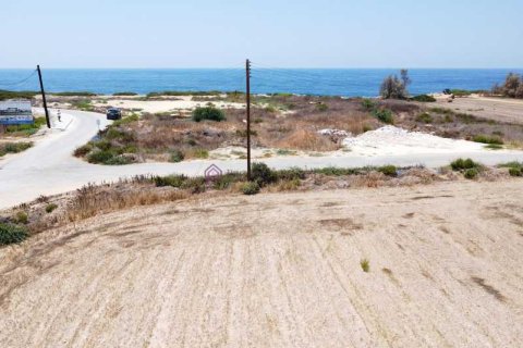 4255m² Land in Pegeia, Cyprus No. 64511 7