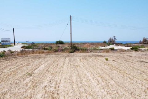 4255m² Land in Pegeia, Cyprus No. 64511 8